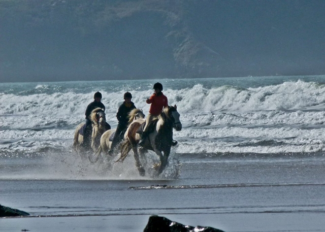  Ir a subir por el mar 